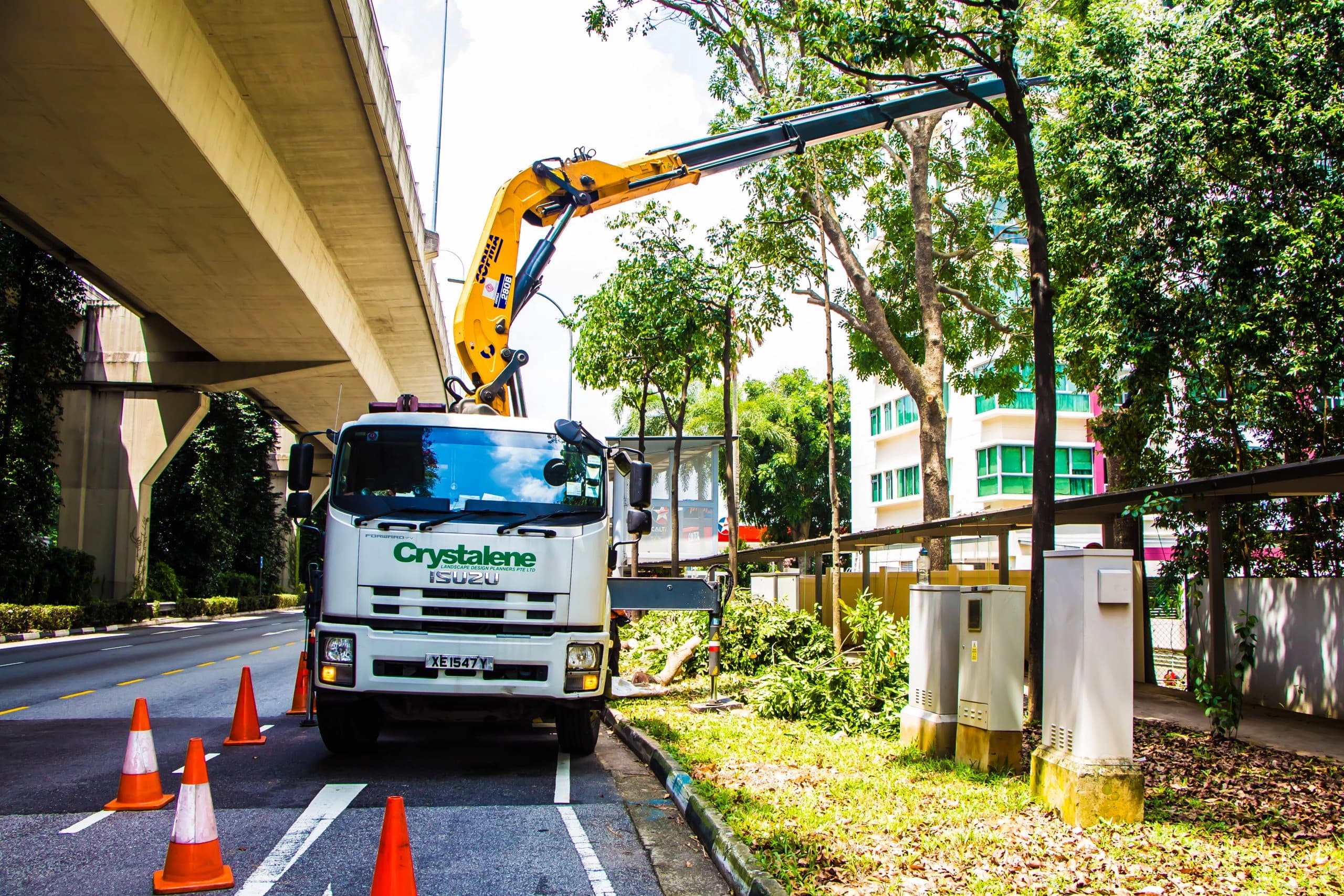 Arborists carrying out tree works with a crane