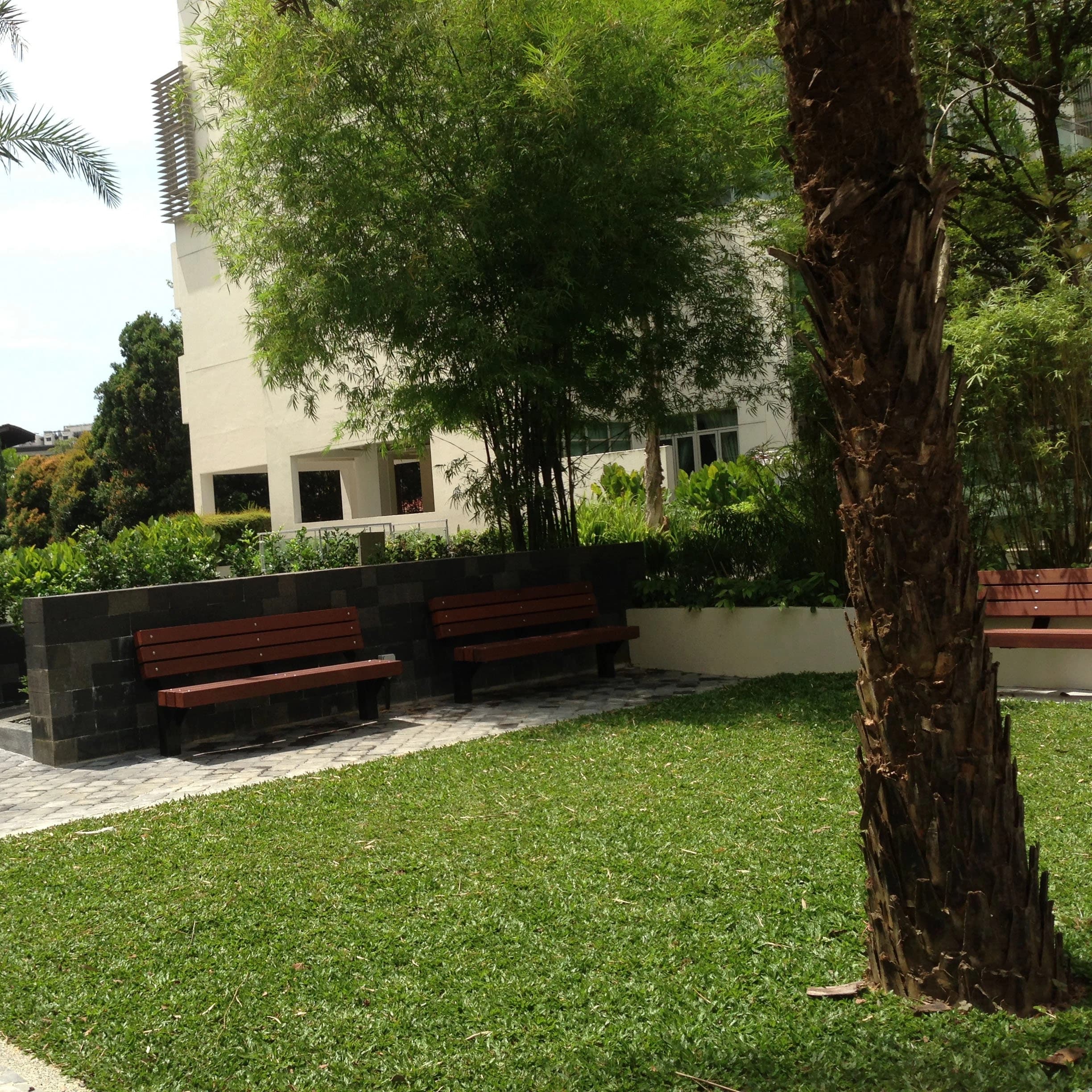Timber benches on turf beneath mature trees