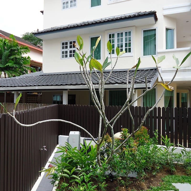 Frangipani and shrub planting in front of a private house at Watten Estate